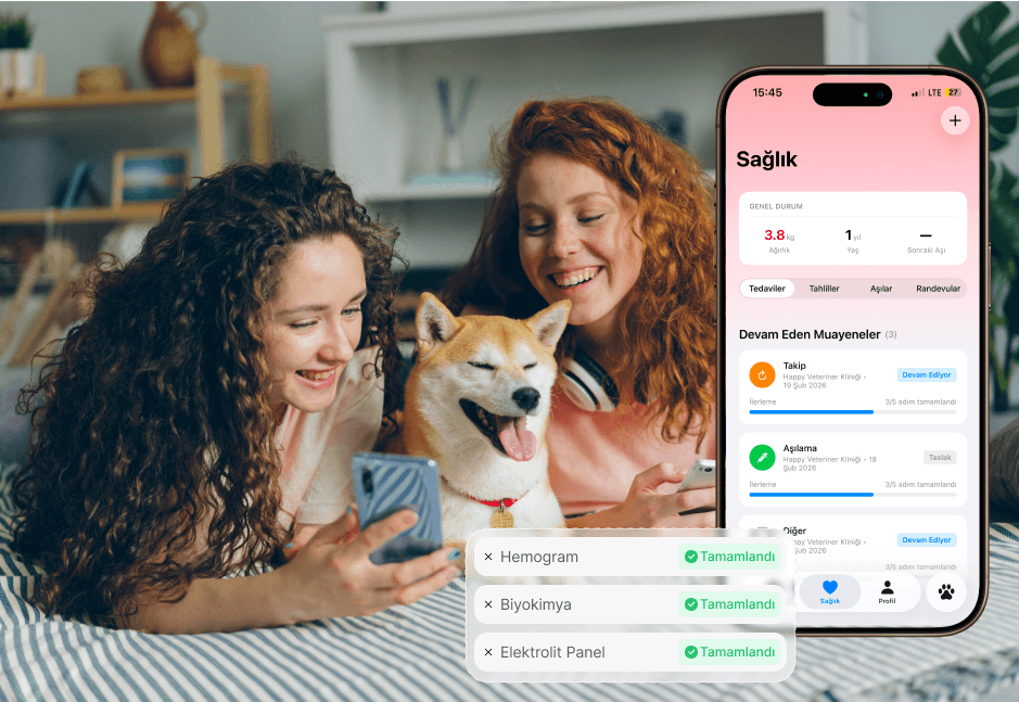 Pet health history and clinic-approved records in PetConnect