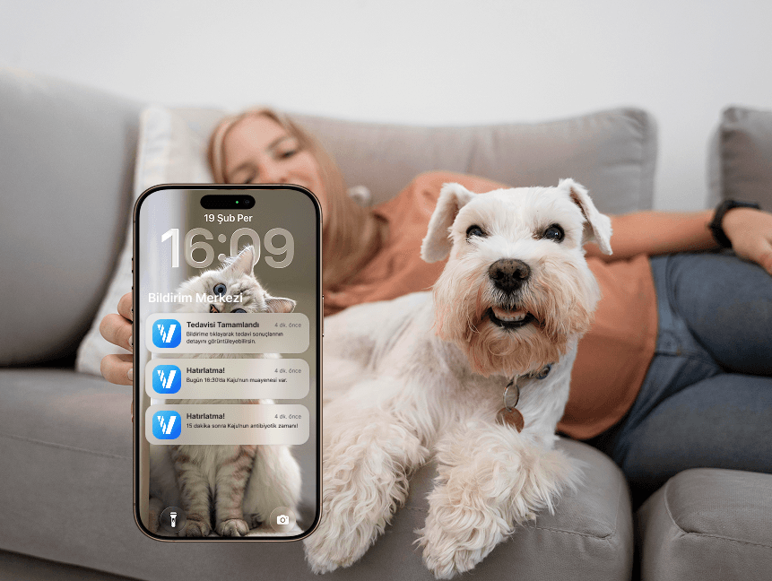PetConnect vaccination reminder notification